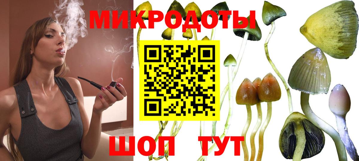 A PVP Богородицк